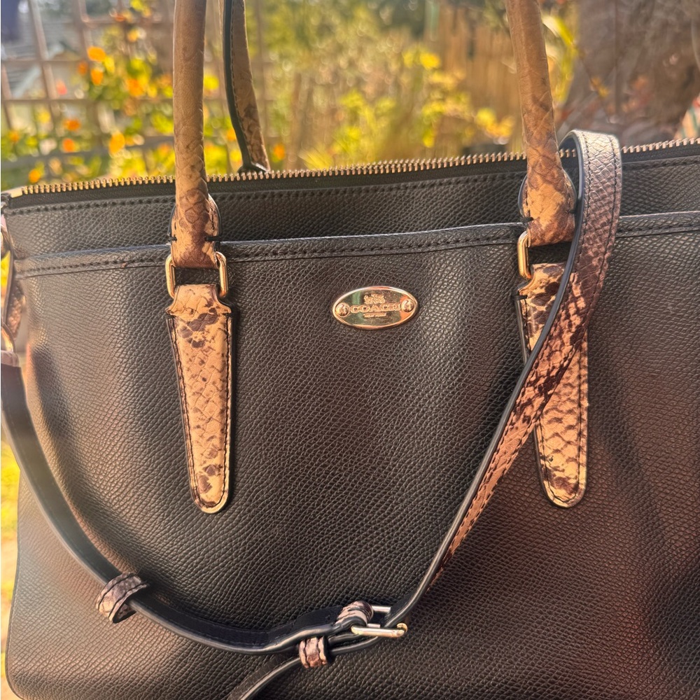 Coach Black Pebbled Leather Satchel with Snake-Trim Accents